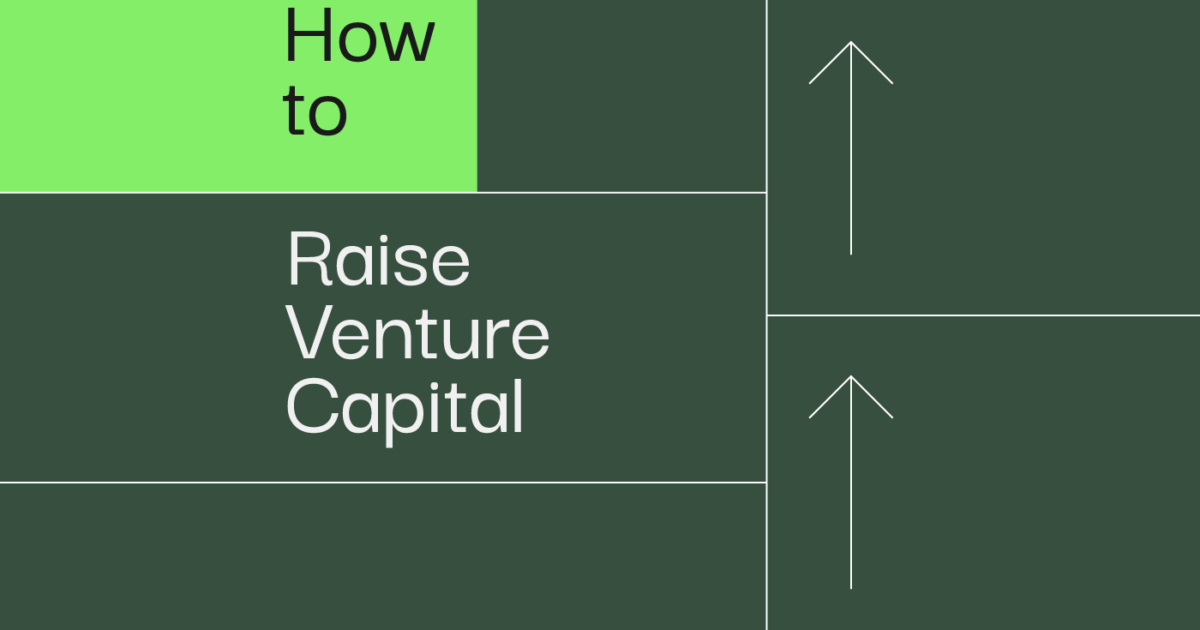 How To Raise Venture Capital: What Would A Successful VC Recommend ...